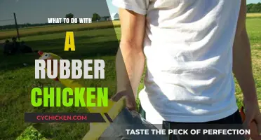 Creative Uses for a Rubber Chicken: Fun and Practical Ideas