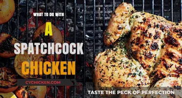 Mastering Spatchcock Chicken: Creative Recipes and Cooking Techniques