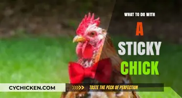 Sticky Chick Solutions: Creative Fixes for a Sticky Kitchen Mishap