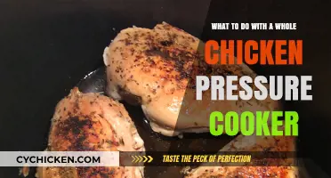 Delicious Pressure Cooker Chicken Recipes: From Soup to Stew