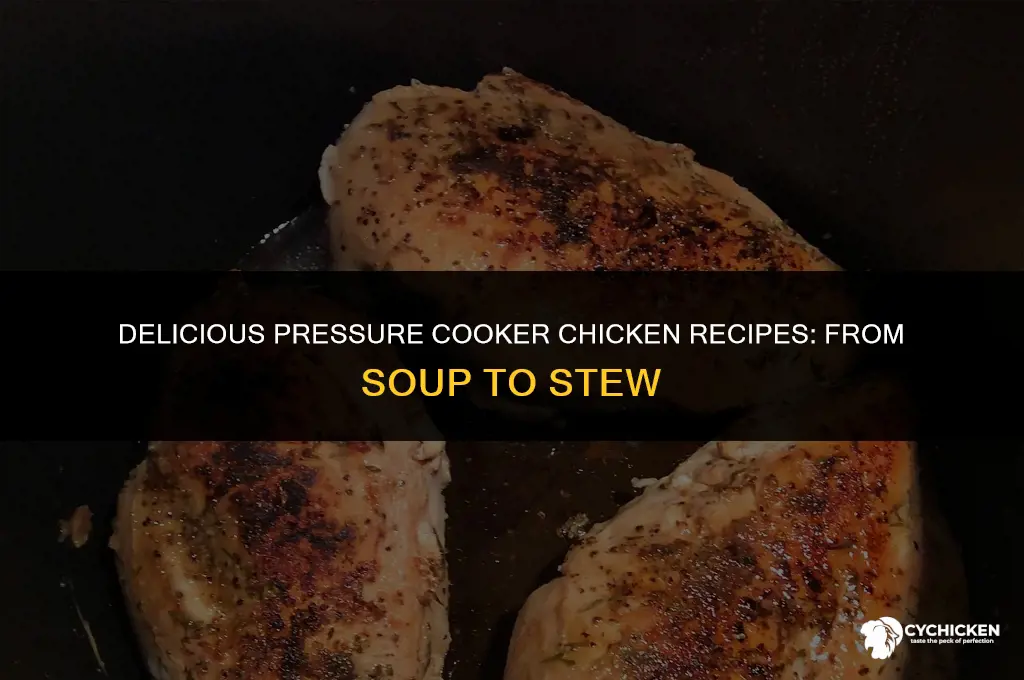what to do with a whole chicken pressure cooker