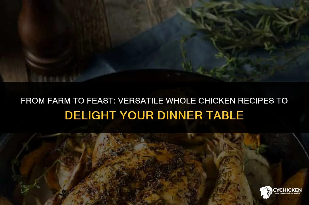 what to do with a whole chicken recipes