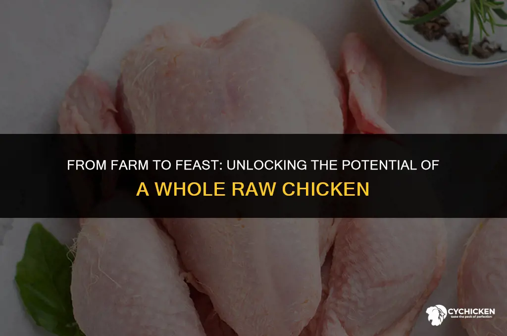 what to do with a whole raw chicken