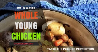 From Farm to Feast: Creative Ways to Prepare a Whole Young Chicken