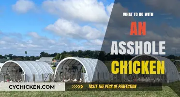 Handling Aggressive Chickens: Strategies for Managing a Troublesome Flock Member
