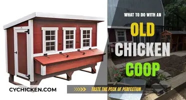 Revamping Your Old Chicken Coop: Creative Ideas for a New Lease on Life