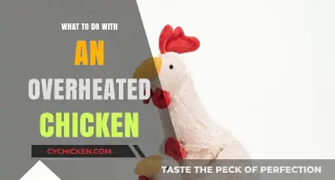 Cooling Overheated Chicken: Quick Fixes and Safe Handling Tips