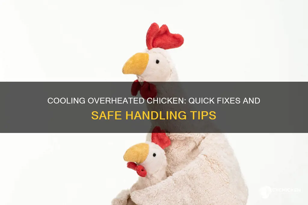 what to do with an overheated chicken