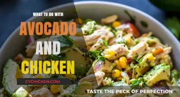 Delicious Avocado and Chicken Recipes to Elevate Your Meals