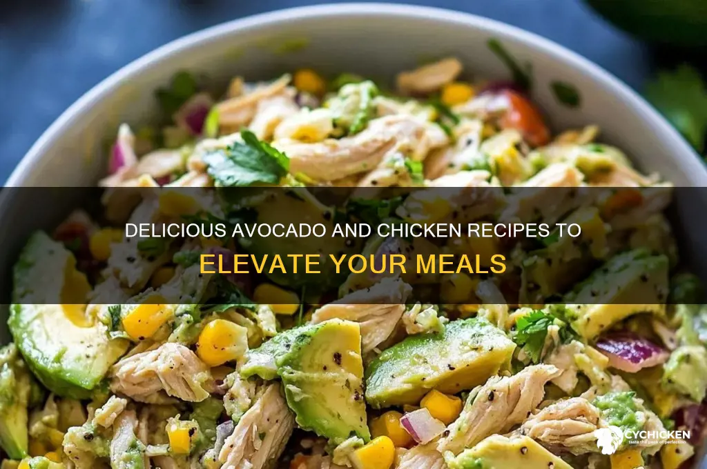 what to do with avocado and chicken