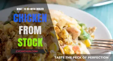 Creative Ways to Use Leftover Boiled Chicken from Stock