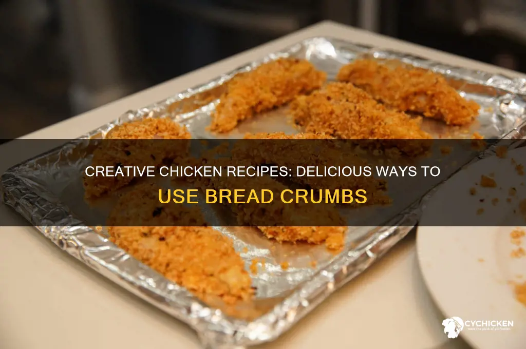what to do with bread crumbs and chicken