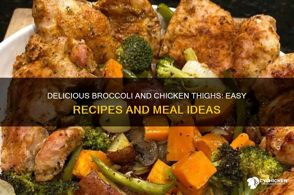 what to do with broccoli and chicken thighs