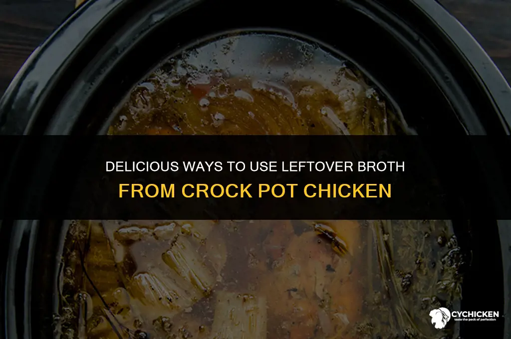 what to do with broth from crock pot chicken