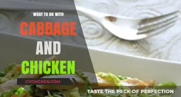 Delicious Cabbage and Chicken Recipes: Creative Meal Ideas to Try Tonight