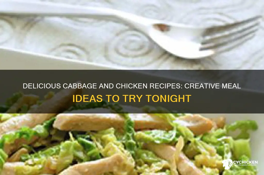 what to do with cabbage and chicken