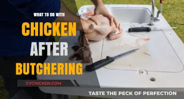 From Coop to Kitchen: Mastering Chicken Butchering and Preparation Techniques