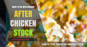 Creative Ways to Use Leftover Chicken After Making Homemade Stock