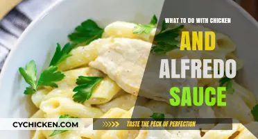 Delicious Chicken Alfredo Ideas: Creative Recipes to Elevate Your Meal