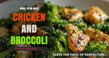 Delicious Chicken and Broccoli Recipes: Quick, Easy, and Healthy Meal Ideas