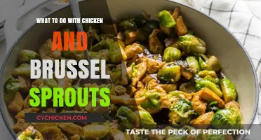 Delicious Chicken and Brussels Sprouts Recipes to Try Tonight