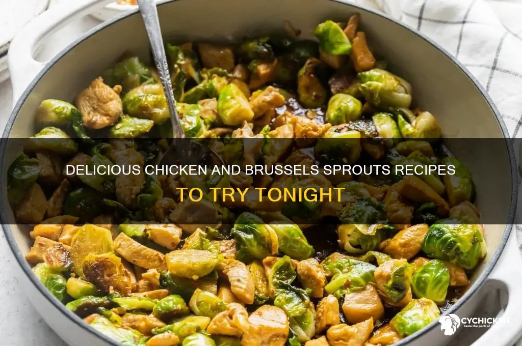 what to do with chicken and brussel sprouts