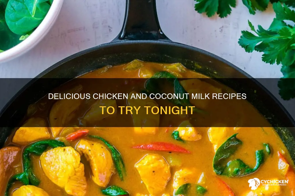 what to do with chicken and coconut milk