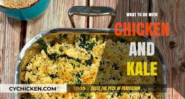 Delicious Chicken and Kale Recipes: Creative Meal Ideas to Try Tonight