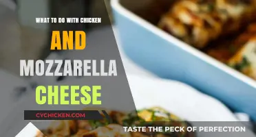 Delicious Chicken and Mozzarella Recipes to Try Tonight