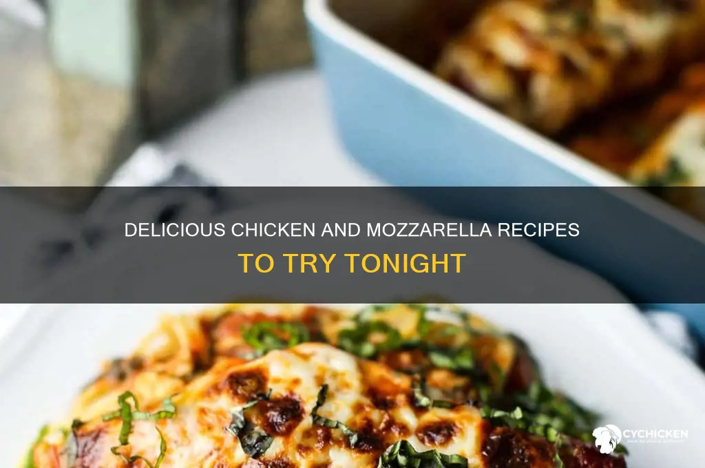 what to do with chicken and mozzarella cheese
