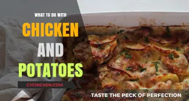 Delicious Chicken and Potato Recipes: Easy Meal Ideas to Try Tonight
