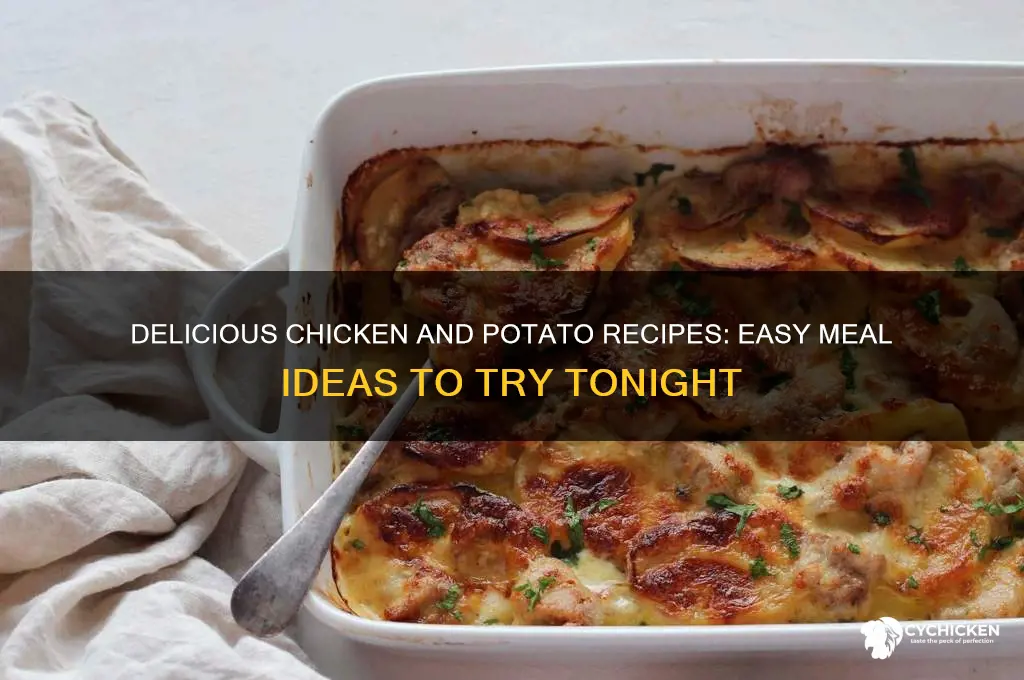 what to do with chicken and potatoes