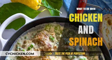 Delicious Chicken and Spinach Recipes: Creative Meal Ideas to Try