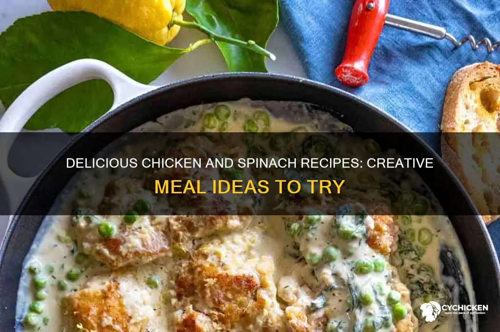 what to do with chicken and spinach