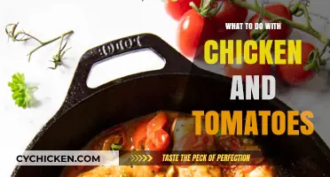 Delicious Chicken and Tomato Recipes: Creative Ways to Cook Tonight