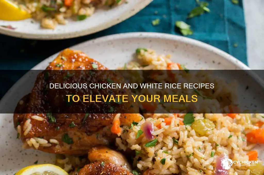 what to do with chicken and white rice