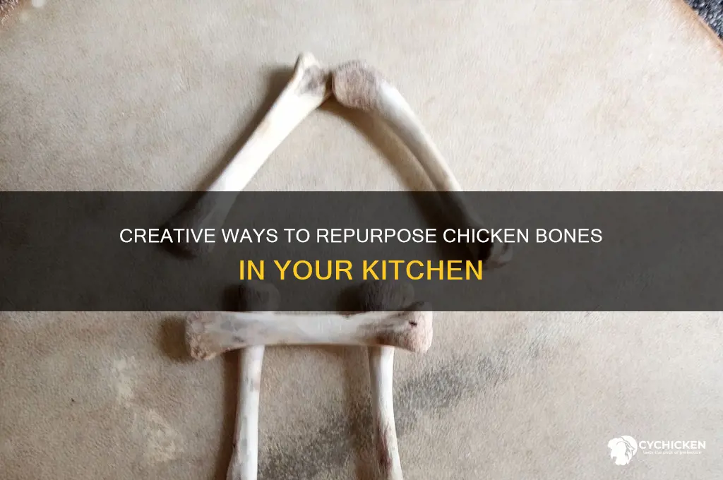 what to do with chicken bones when don