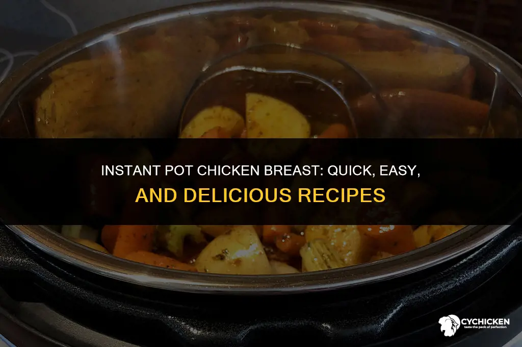 what to do with chicken breast and instant pot