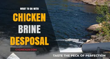 Eco-Friendly Chicken Brine Disposal: Smart Tips for Safe Kitchen Practices