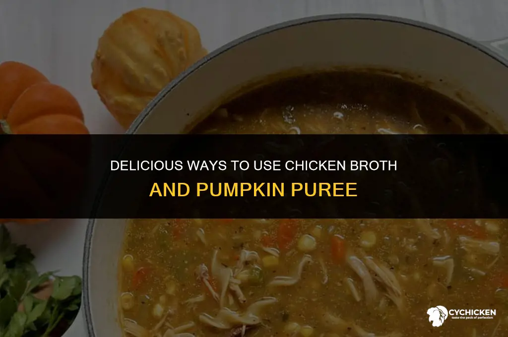what to do with chicken broth and pumpkin puree