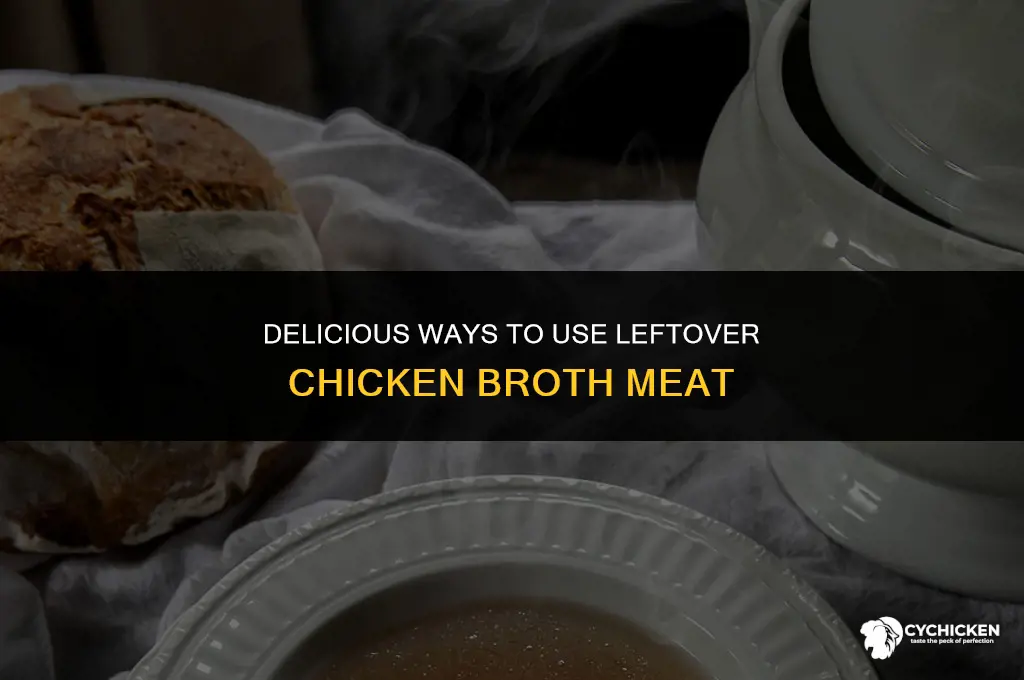 what to do with chicken broth meat