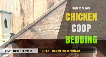 Sustainable Solutions: Managing Chicken Coop Bedding for a Healthier Flock
