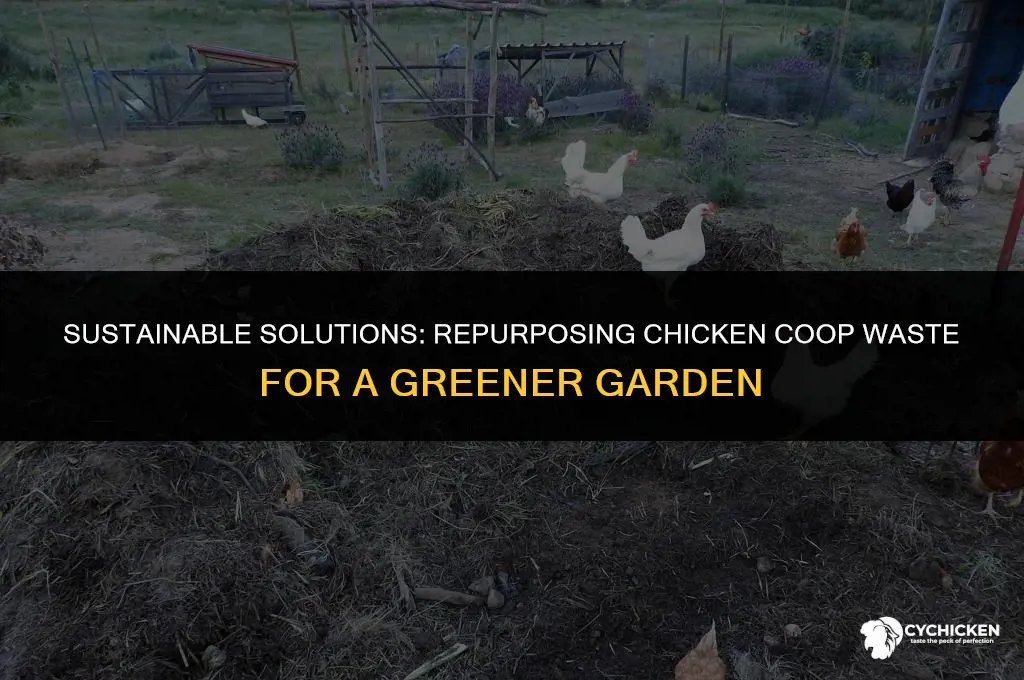 what to do with chicken coop poop