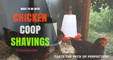 Sustainable Solutions: Repurposing Chicken Coop Shavings for a Greener Farm