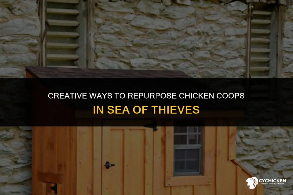 what to do with chicken coops sea of thives