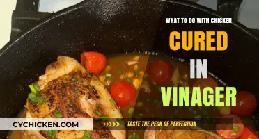 Vinegar-Cured Chicken: Creative Recipes and Serving Ideas to Try