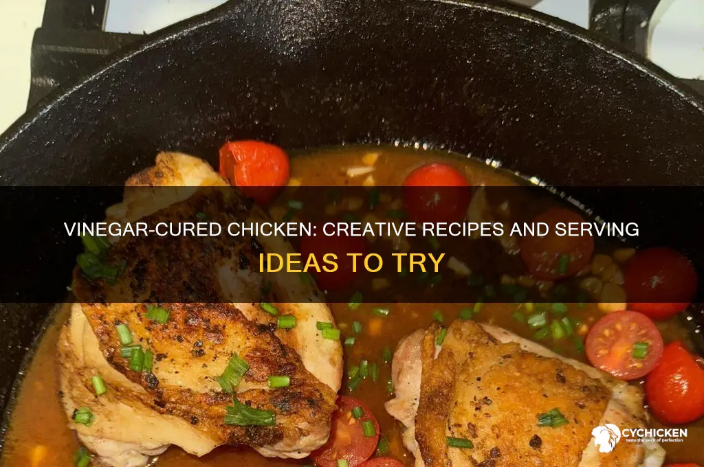 what to do with chicken cured in vinager
