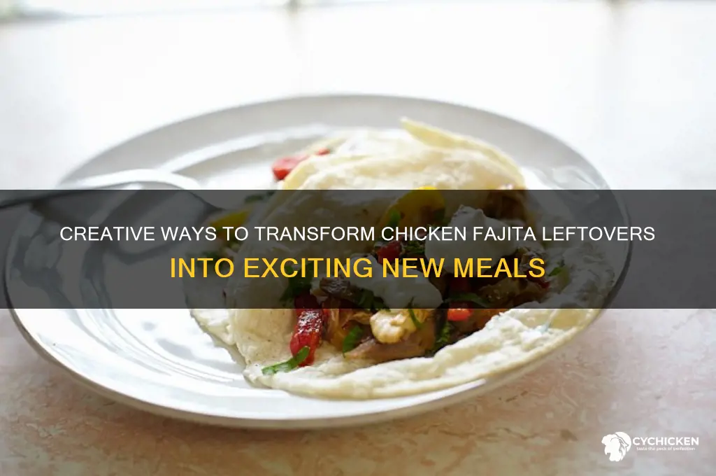 what to do with chicken fajita leftovers