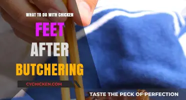 Creative Uses for Chicken Feet: Post-Butchering Tips and Recipes