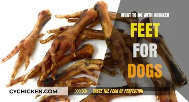 Chicken Feet Treats: Healthy, Crunchy Snacks for Your Dog's Dental Health